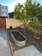 4246 Montalvo St in San Diego, CA - Building Photo - Building Photo