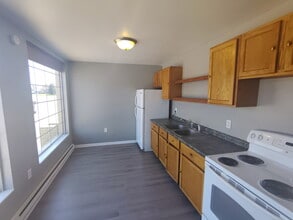 1807 Meridian St in Anderson, IN - Foto de edificio - Building Photo