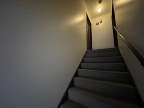 109 S Whispering Hills Dr in Naperville, IL - Foto de edificio - Building Photo