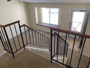 8526 S Flower St in Littleton, CO - Building Photo - Building Photo