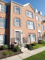 8890 Purple Iris Ln in Elkridge, MD - Building Photo