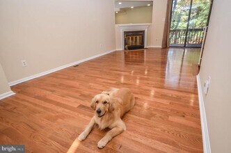 8711 Ravenglass Way in Gaithersburg, MD - Building Photo - Building Photo