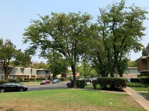 1536 Drake Dr in Davis, CA - Building Photo - Building Photo