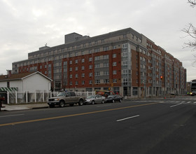 Louis Nine Boulevard Apartments in Bronx, NY - Building Photo - Building Photo