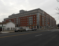 Louis Nine Boulevard Apartments in Bronx, NY - Foto de edificio - Building Photo