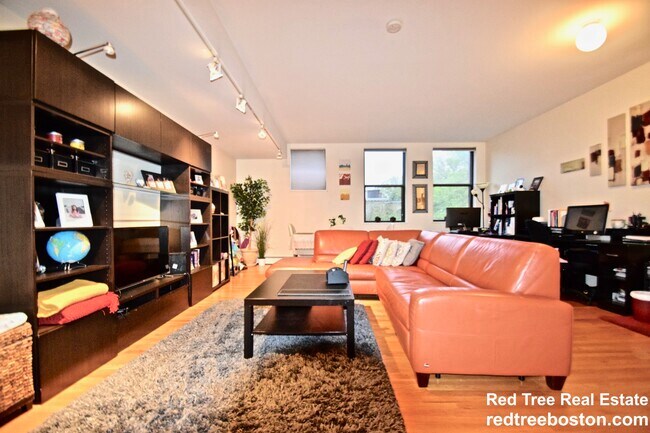 51 Winchester St, Unit #206