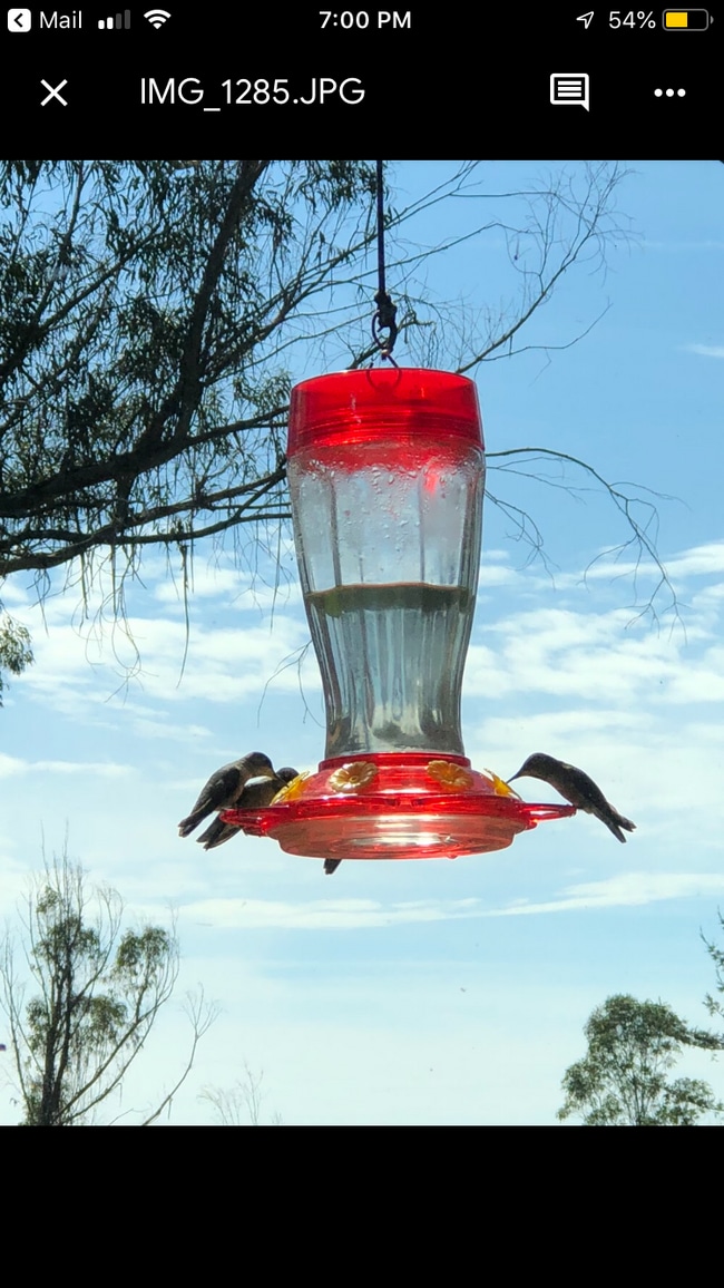221 Gillette Rd in Watsonville, CA - Building Photo - Building Photo