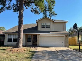 10539 Waving Fields Dr in Houston, TX - Building Photo