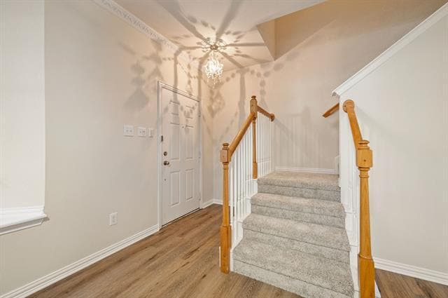 2508 Durango Ridge Dr in Bedford, TX - Building Photo - Building Photo