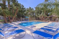 TAKE A DIP - Deerfield Village on Fort Lowell Apartamentos in Tucson, Arizona