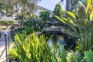 The Continental Arcadia in Arcadia, CA - Building Photo