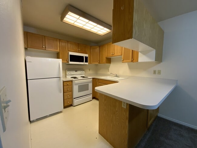 1227 Riverside Ave in Provo, UT - Building Photo - Building Photo