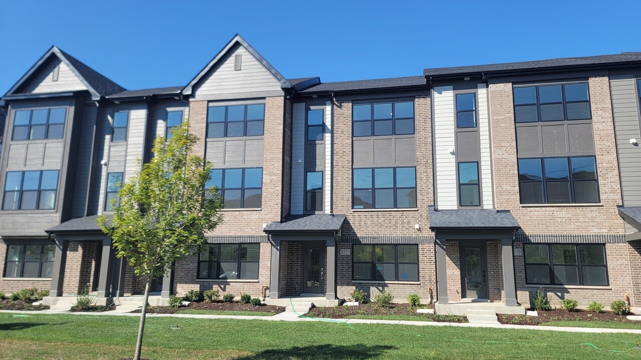 8377 Mulberry Ave in Morton Grove, IL - Building Photo