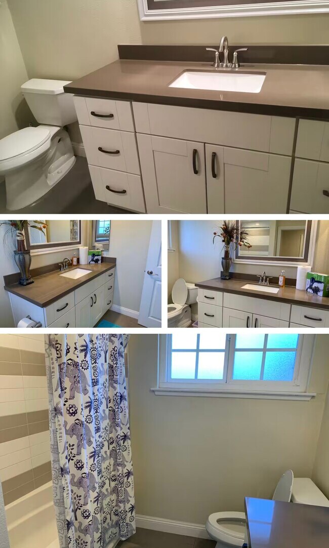 924 S Peregrine Pl in Anaheim, CA - Building Photo - Building Photo