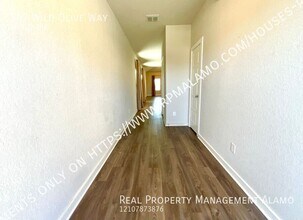 507 Wild Olive Wy in San Antonio, TX - Building Photo - Building Photo