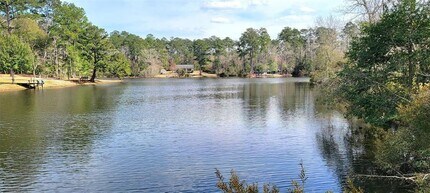 250 Wood Haven in Livingston, TX - Building Photo - Building Photo