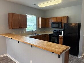 374 Kiskadee Loop in Conway, SC - Building Photo - Building Photo
