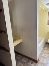 173 E Union St in Nanticoke, PA - Building Photo - Building Photo