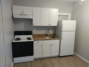 705 Vine Ave in Clearwater, FL - Foto de edificio - Building Photo