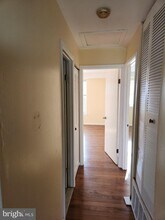 2738 Island Ave in Philadelphia, PA - Building Photo - Building Photo