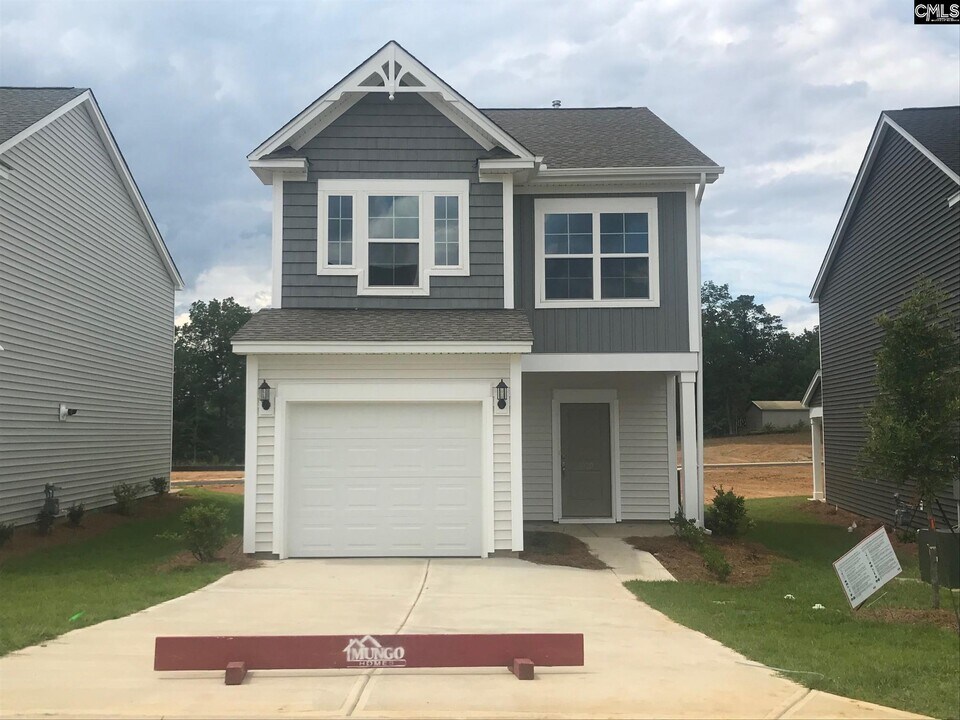 1020 Bergenfield Ln in Chapin, SC - Building Photo