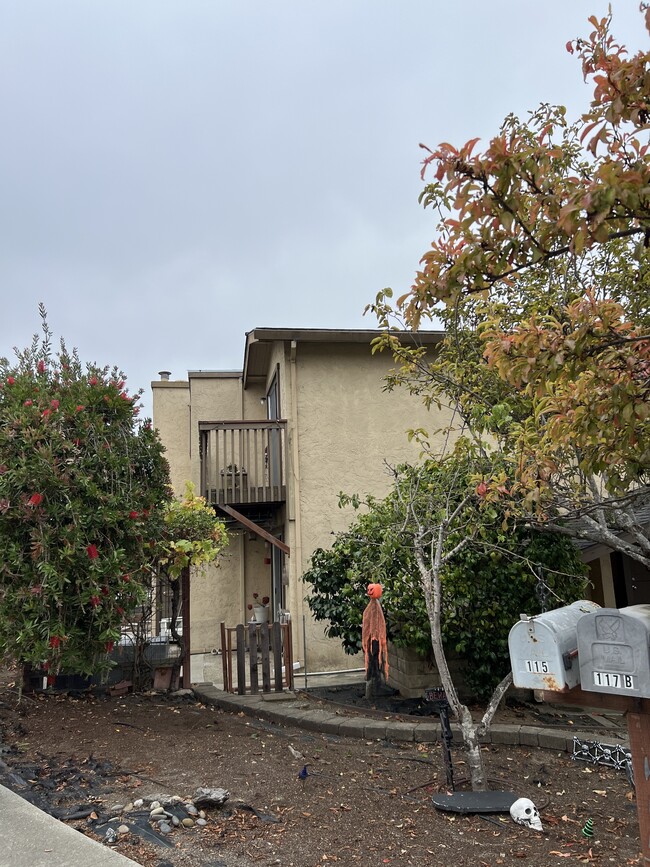 property at 115 Tiburon Ct