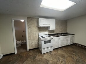 309 Pine St in Reading, PA - Building Photo - Building Photo