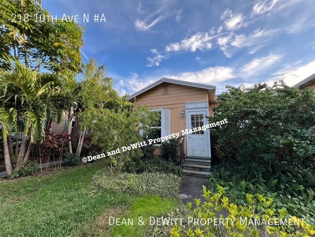 218 10th Ave N in St. Petersburg, FL - Building Photo - Building Photo