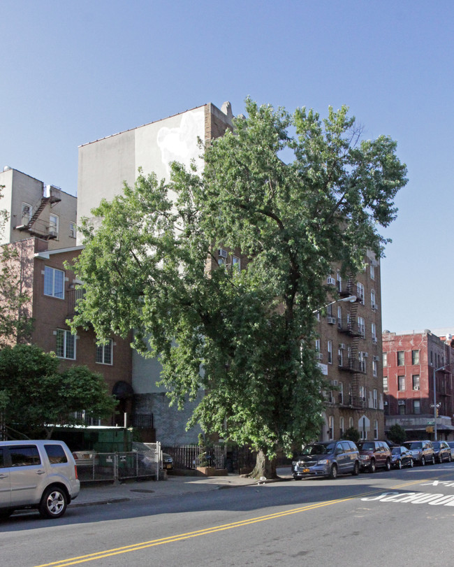 4217 16th Ave in Brooklyn, NY - Foto de edificio - Building Photo