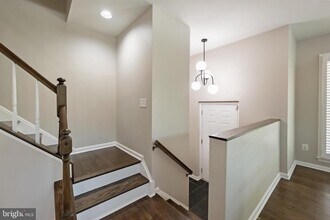 2317 37th St NW in Washington, DC - Building Photo - Building Photo