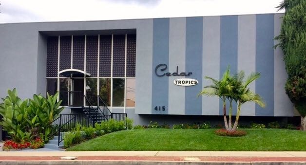 415 E Cedar Ave in Burbank, CA - Building Photo