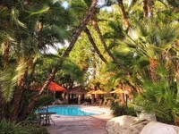Heated Pool and Spa - Victoria Springs Senior Community 55+ Apartments in Riverside, California