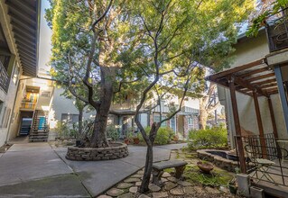 Briarwood Manor in Menlo Park, CA - Building Photo - Building Photo