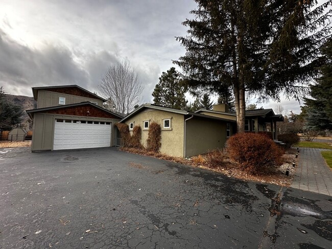 125 S Hiawatha Dr in Hailey, ID - Building Photo - Building Photo