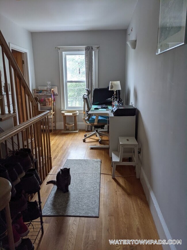 18 Otis St in Watertown, MA - Building Photo - Building Photo