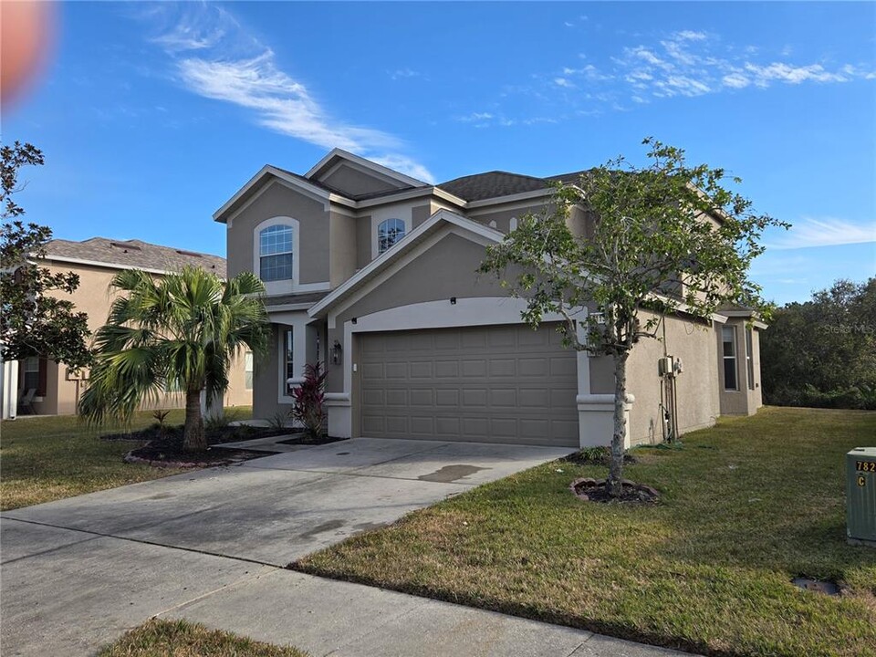 31132 Creekridge Dr in Wesley Chapel, FL - Building Photo