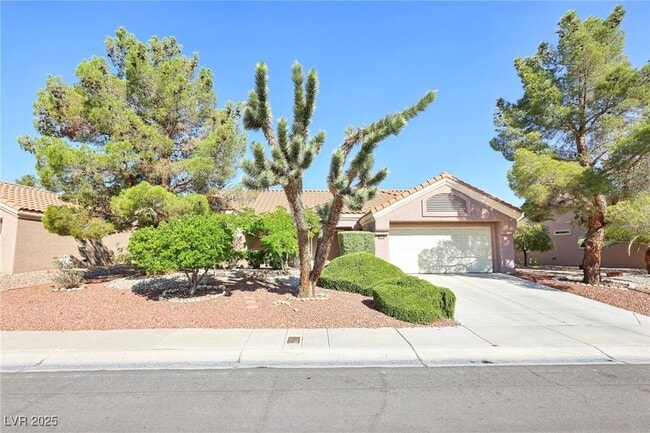 property at 3013 Sungold Dr