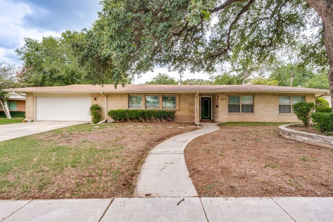 223 Beechwood Ln in San Antonio, TX - Building Photo - Building Photo