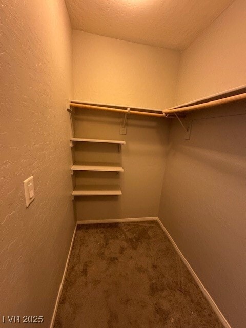 property at 6208 Red Jamboree Ct