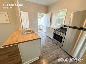 423 8th St NW in Grand Rapids, MI - Building Photo - Building Photo