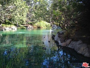 1115 Raintree Cir in Culver City, CA - Building Photo - Building Photo