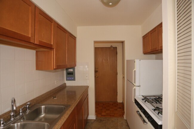 513 W Briar Pl in Chicago, IL - Building Photo - Building Photo