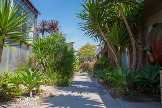 Lacy Studios & Townhouse Lofts in Los Angeles, CA - Building Photo - Building Photo