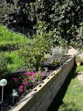 3018 Oakwood Ln in Torrance, CA - Building Photo - Building Photo