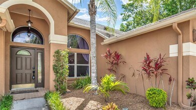 29135 Rivergate Run in Zephyrhills, FL - Building Photo - Building Photo
