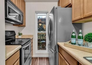 1411 Creekside Dr, Unit 14 in Walnut Creek, CA - Foto de edificio - Building Photo
