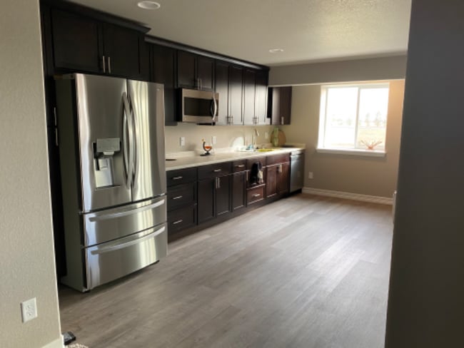 5383 Homeward Dr in Timnath, CO - Foto de edificio - Building Photo