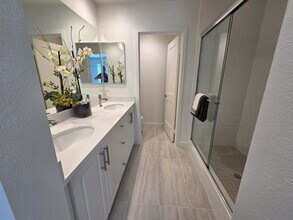 2524 Chamomile Ln in Carlsbad, CA - Building Photo - Building Photo