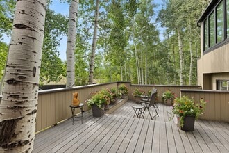1443 Crystal Lake Rd in Aspen, CO - Building Photo - Building Photo
