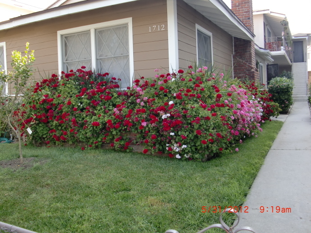 1712 Barry Ave, Unit 1 in Los Angeles, CA - Building Photo